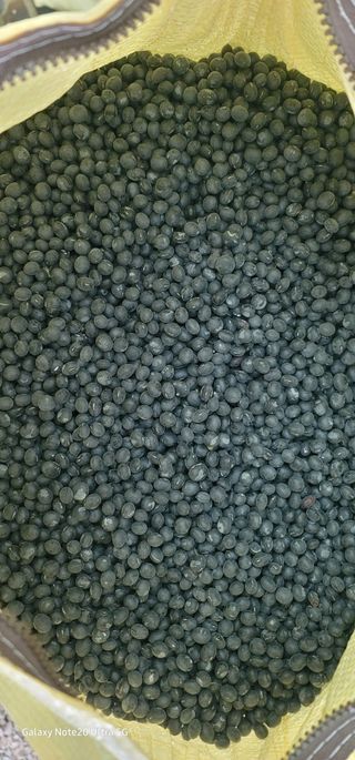 전용철님의 작성글 사진