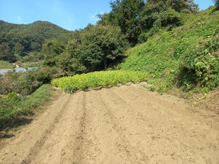 사무니님의 가을 농장 자랑해주세요🧑‍🌾 · 참여글 작성글 사진