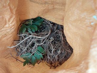 김봉호님의 작성글 사진