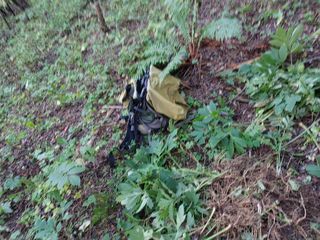 김봉호님의 작성글 사진