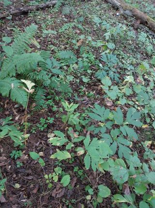 김봉호님의 작성글 사진