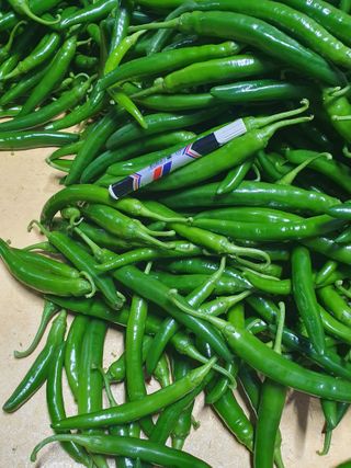 도용호길곡고추님의 고추 · 지주설치•유인•성장 작성글 사진