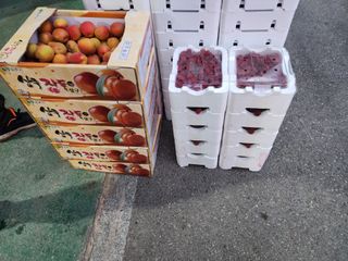 임옥애님의 작목반 소개하고 지원받기 · 참여글 작성글 사진