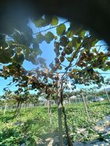 팜모닝 가을 농장 자랑해주세요🧑‍🌾·참여글 게시글 이미지