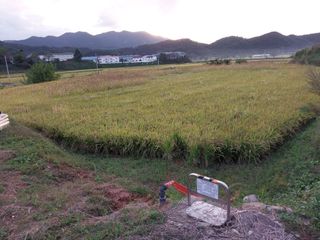 조위래님의 가을 농장 자랑해주세요🧑‍🌾 · 참여글 작성글 사진