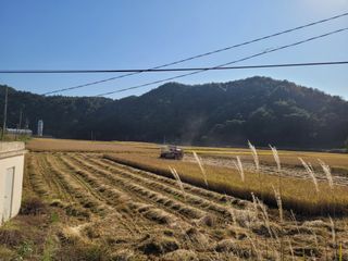 김근배님의 벼 · 영농일지 작성글 사진