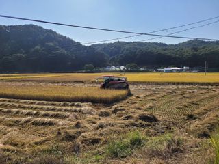 김근배님의 벼 · 영농일지 작성글 사진