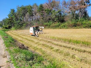 김근배님의 벼 · 영농일지 작성글 사진