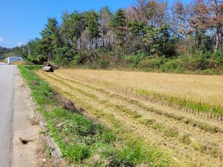 김근배님의 벼 · 영농일지 작성글 사진