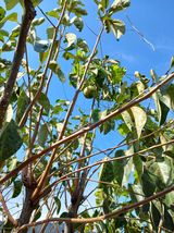 팜모닝 감·자유게시판 게시글 이미지