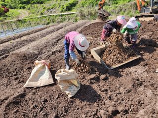 이창신님의 가을 농장 자랑해주세요🧑‍🌾 · 참여글 작성글 사진