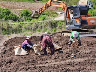 이창신님의 가을 농장 자랑해주세요🧑‍🌾 · 참여글 작성글 사진
