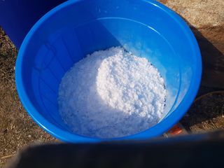 당근한개님의 자유주제 · 자유게시판 작성글 사진