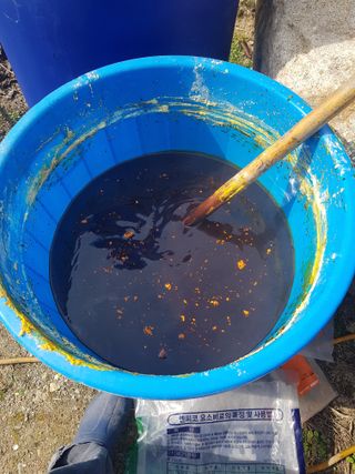 당근한개님의 자유주제 · 자유게시판 작성글 사진