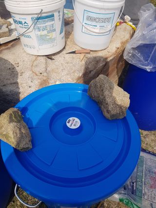 당근한개님의 자유주제 · 자유게시판 작성글 사진