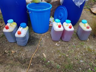 당근한개님의 자유주제 · 자유게시판 작성글 사진