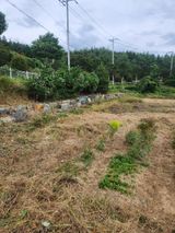 팜모닝 토마토·영농일지 게시글 이미지