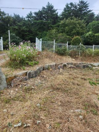 도깨비윤샘 님의 토마토 · 영농일지 작성글 사진