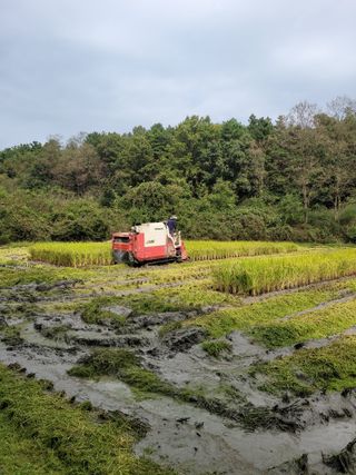 (조태성)님의 가을 농장 자랑해주세요🧑‍🌾 · 참여글 작성글 사진