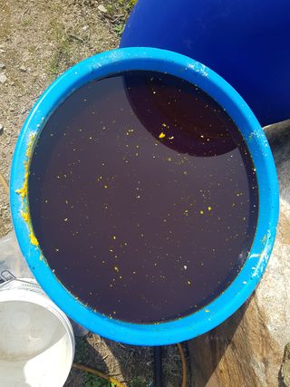 당근한개님의 콩 · 영농일지 작성글 사진