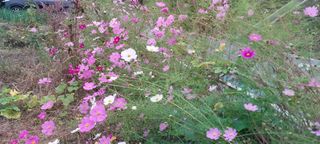 정진해님의 자유주제 · 사진전 작성글 사진