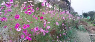 정진해님의 자유주제 · 사진전 작성글 사진