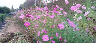 정진해님의 자유주제 · 사진전 작성글 사진