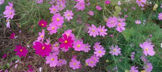 정진해님의 자유주제 · 사진전 작성글 사진