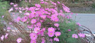 정진해님의 자유주제 · 사진전 작성글 사진