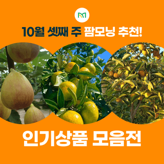 팜모닝 장터님의 장터이야기 · 공지 작성글 사진
