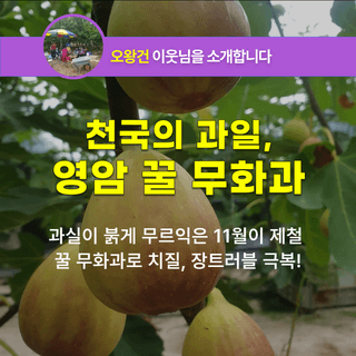 팜모닝 장터님의 장터이야기 · 공지 작성글 사진