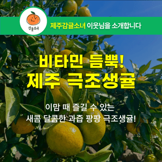 팜모닝 장터님의 장터이야기 · 공지 작성글 사진