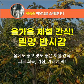 팜모닝 장터님의 장터이야기 · 공지 작성글 사진