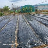 팜모닝 가을 농장 자랑해주세요🧑‍🌾·참여글 게시글 이미지