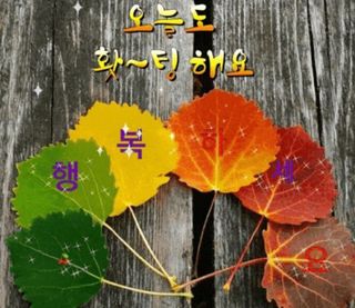 아림농장 대저2동 님의 가을 농장 자랑해주세요🧑‍🌾 · 참여글 작성글 사진
