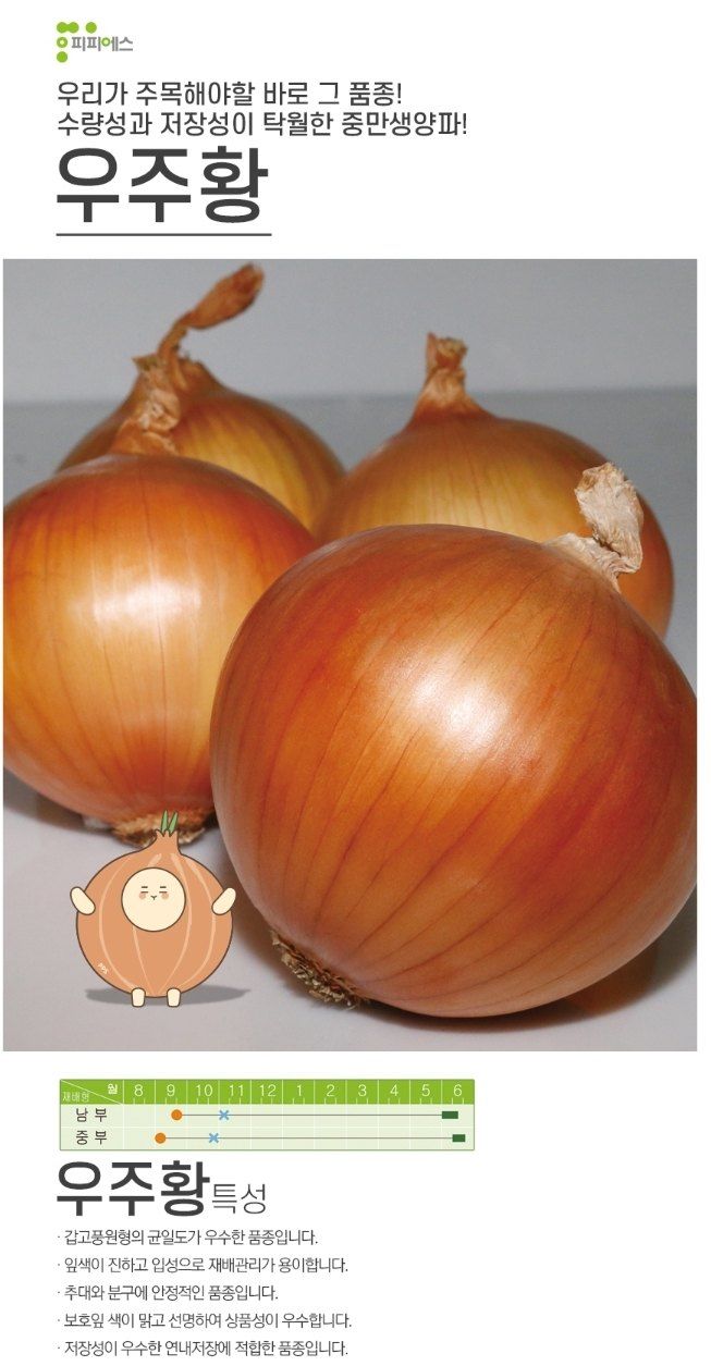 대산농사대장님의 장터 판매 상품 [저장성 우수 양파모종 200구   ] 첨부 사진