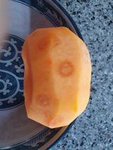 팜모닝 감·병해충상담 게시글 이미지