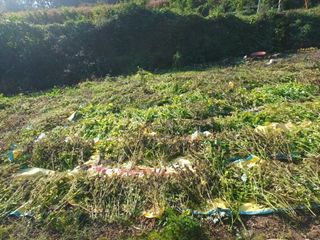 유외선님의 가을 농장 자랑해주세요🧑‍🌾 · 참여글 작성글 사진