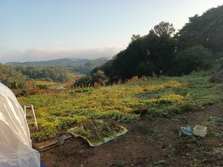 유외선님의 가을 농장 자랑해주세요🧑‍🌾 · 참여글 작성글 사진