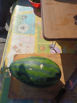 유외선님의 가을 농장 자랑해주세요🧑‍🌾 · 참여글 작성글 사진