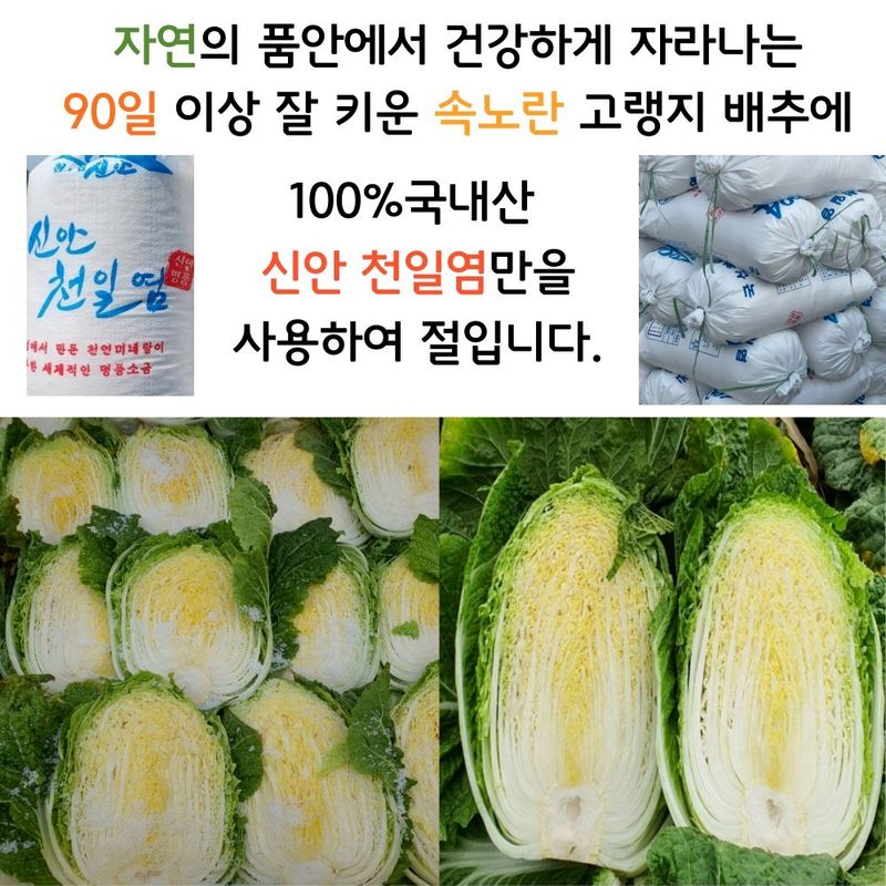 안나영님의 장터 판매 상품 [괴산 절임배추20kg 7~9 또는 10~12포기] 첨부 사진