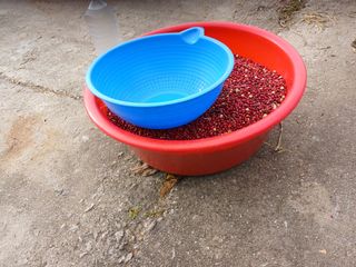 알 수 없음님의 우리동네 · 동네수다 작성글 사진