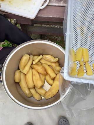 땅땅님의 고구마 · 자유게시판 작성글 사진