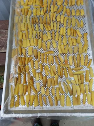 땅땅님의 고구마 · 자유게시판 작성글 사진