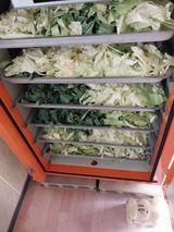 팜모닝 토마토·영농일지 게시글 이미지