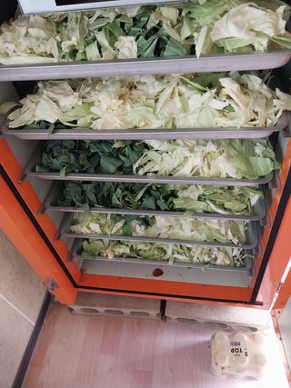 Byh6905님의 토마토 · 영농일지 작성글 사진