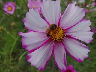 이현상님의 자유주제 · 자유게시판 작성글 사진