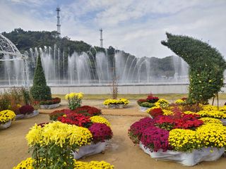 이현상님의 자유주제 · 자유게시판 작성글 사진