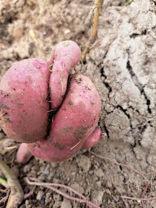 좋은인연님의 자유주제 · 자유게시판 작성글 사진