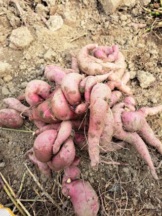 좋은인연님의 자유주제 · 자유게시판 작성글 사진